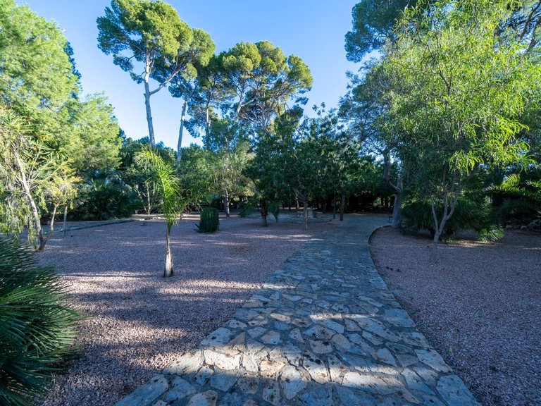 Villa for Sale in Mutxamel, Alicante 2