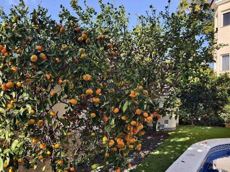 Villa for Sale in Ciudad Quesada, Alicante 12