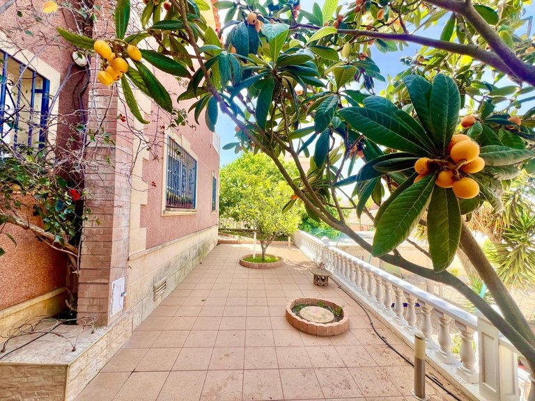 Villa for Sale in Costa Blanca Torrevieja, Alicante 23