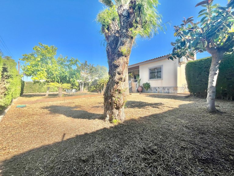 Villa for Sale in Torrevieja, Alicante 5