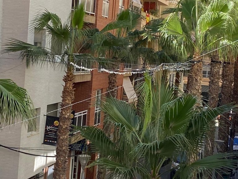 Apartment for Sale in Torrevieja, Alicante 14