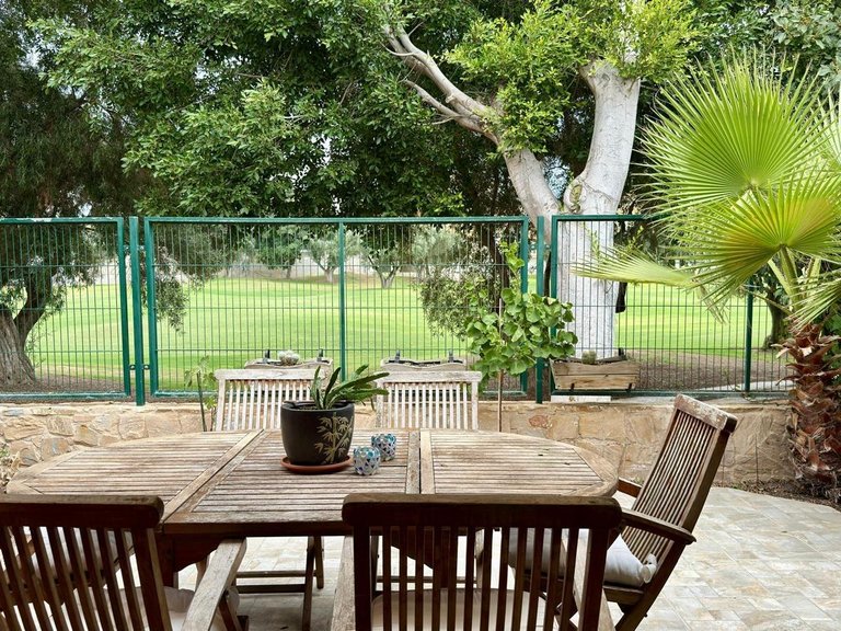 Apartment for Sale in Alicante, Alicante 3