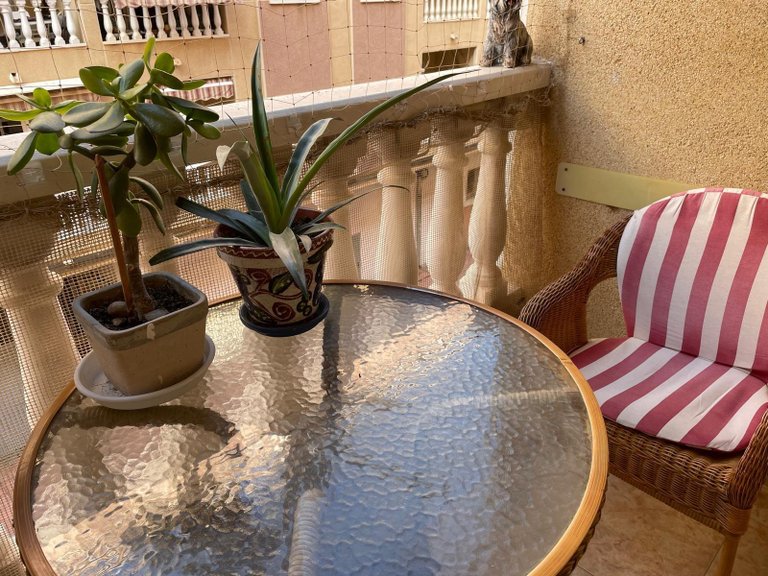 Apartment for Sale in Torrevieja, Alicante 8