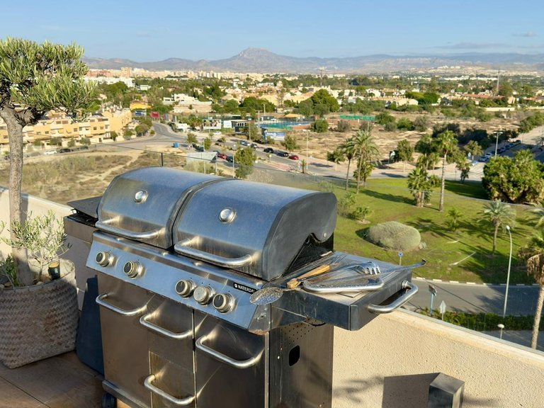 Apartment for Sale in Alicante, Alicante 6
