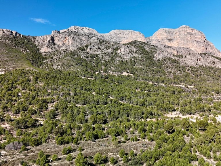 Villa for Sale in Polop, Alicante 8