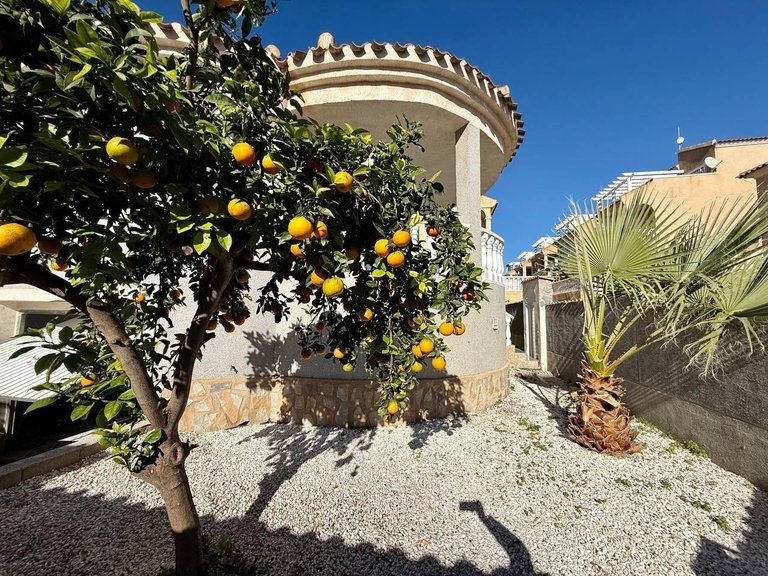 Villa for Sale in Orihuela Costa, Alicante 15