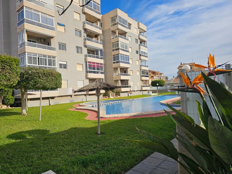 Apartment for Sale in Torrevieja, Alicante 3