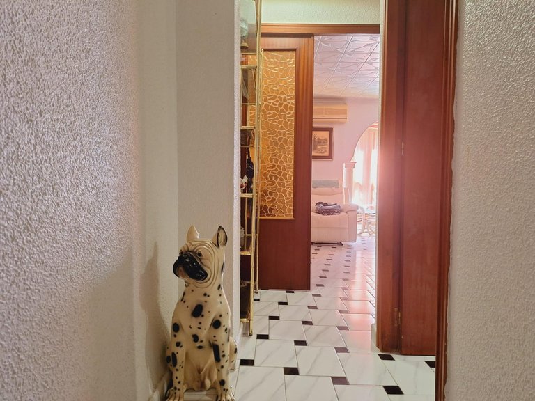 Apartment for Sale in Torrevieja, Alicante 25