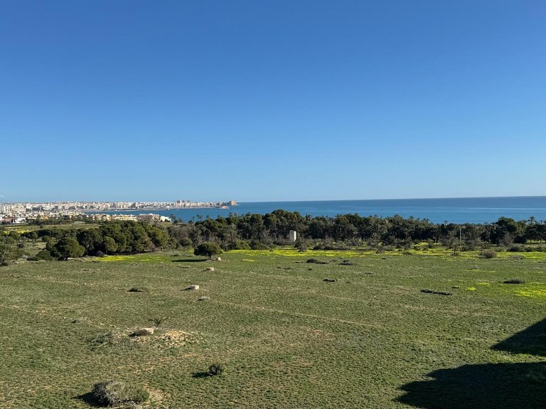 Apartment for Sale in Torrevieja, Alicante 13