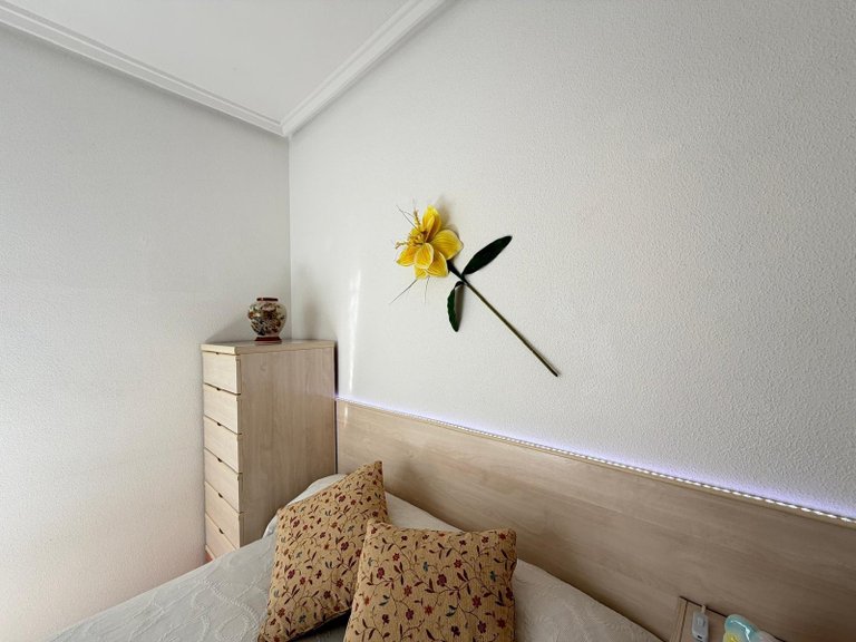 Penthouse for Sale in Torrevieja, Alicante 20