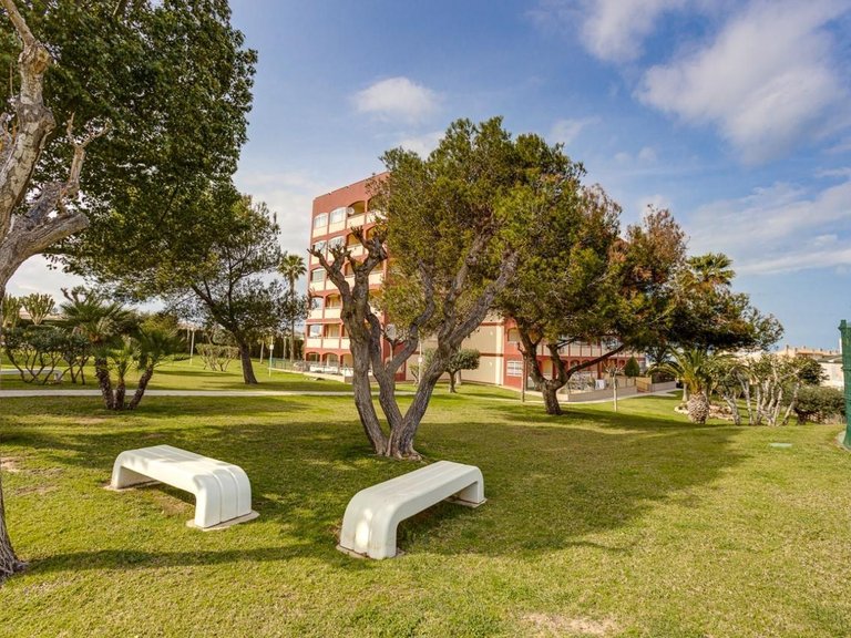 Apartment for Sale in Torrevieja, Alicante 4