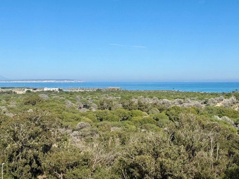 Apartment for Sale in Guardamar Del Segura, Alicante 7