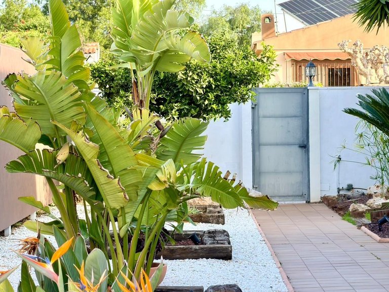 Villa for Sale in El Campello, Alicante 8