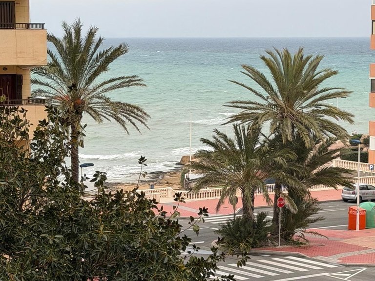 Apartment for Sale in Torrevieja, Alicante 13