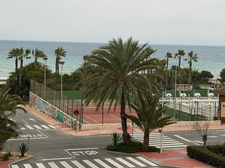 Apartment for Sale in Torrevieja, Alicante 14
