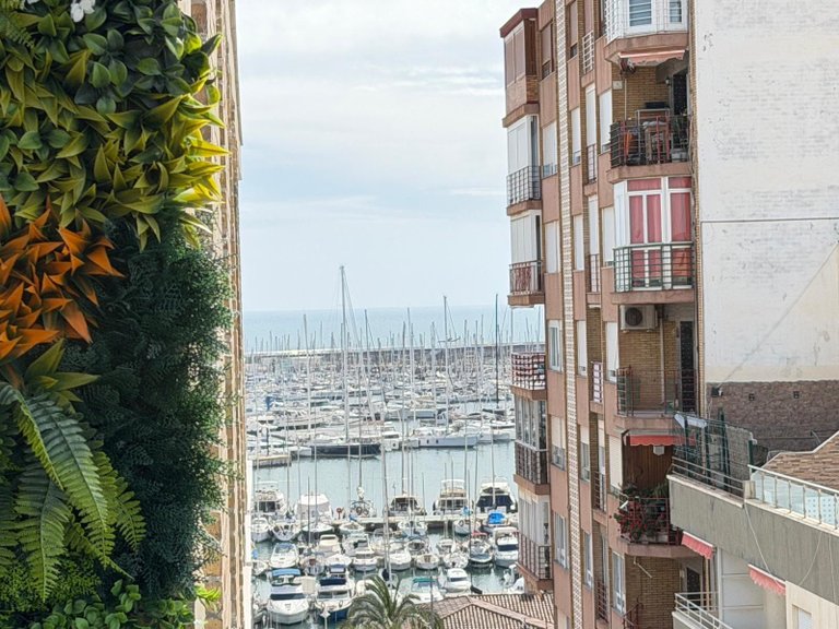 Apartment for Sale in Costa Blanca Torrevieja, Alicante 36