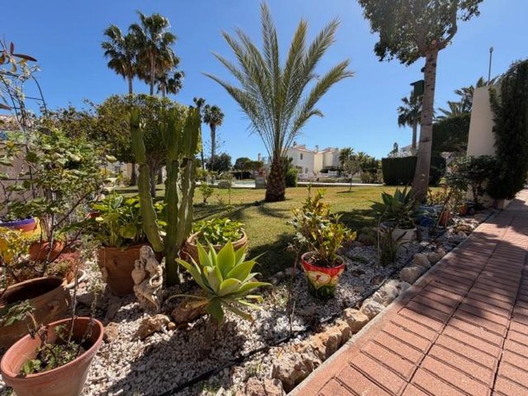 Apartment for Sale in Torrevieja, Alicante 6