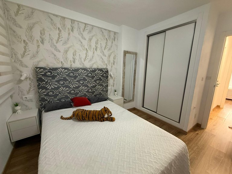 Apartment for Sale in Torrevieja, Alicante 8