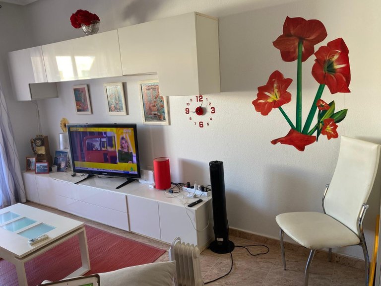 Apartment for Sale in Torrevieja, Alicante 4