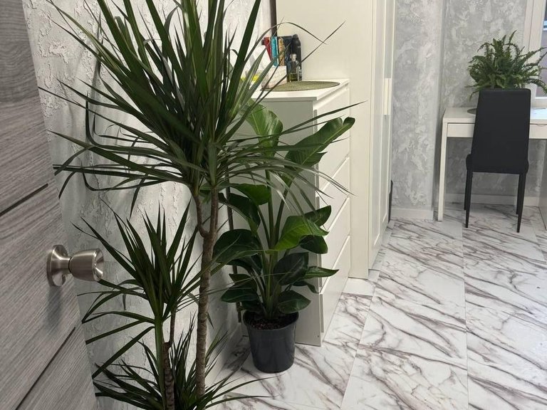 Apartment for Sale in Mislata, Valencia 9