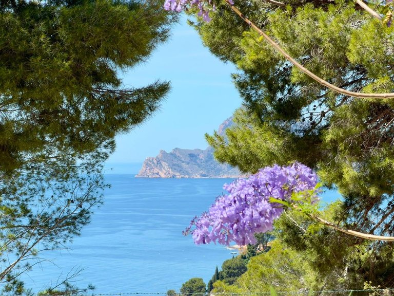 Villa for Sale in Altea, Alicante 4