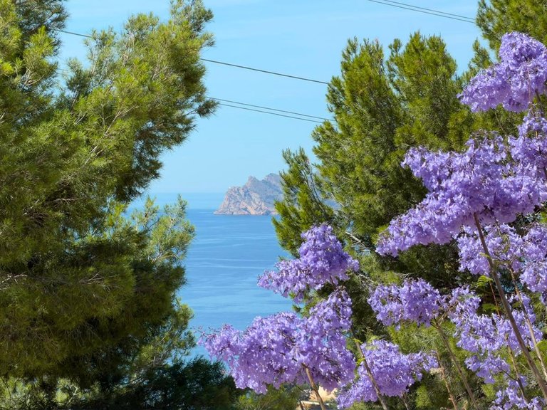 Villa for Sale in Altea, Alicante 7