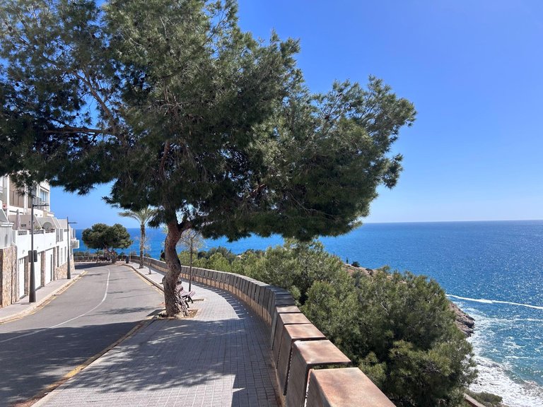 Apartment for Sale in Benidorm, Alicante 12