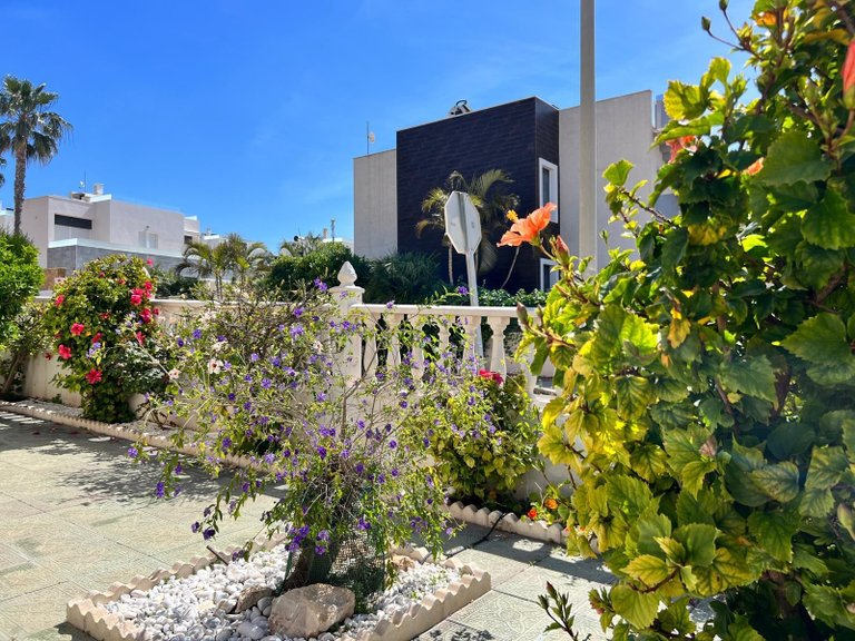 Town House for Sale in Torrevieja, Alicante 4