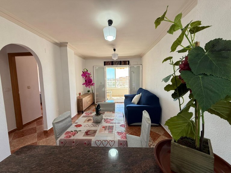 Apartment for Sale in Torrevieja, Alicante 5
