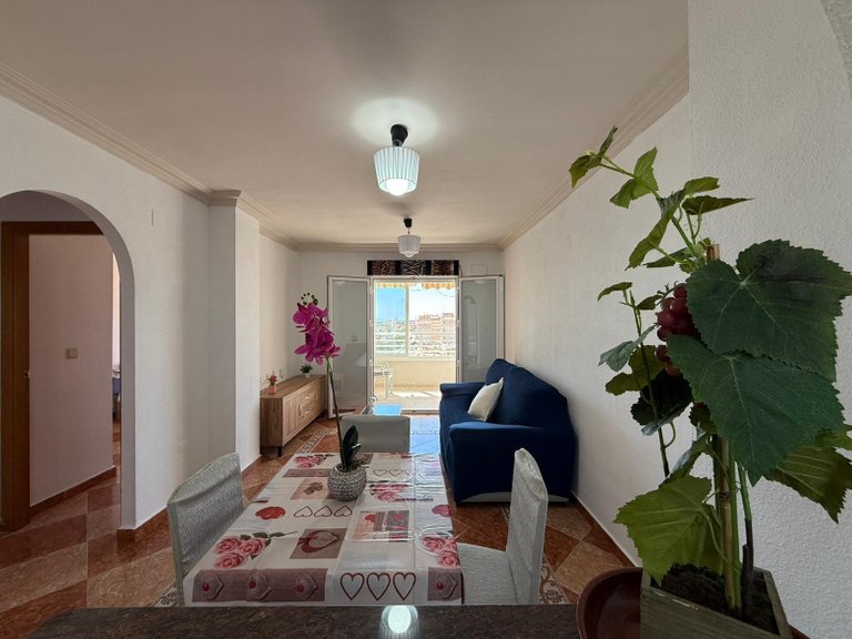 Apartment for Sale in Torrevieja, Alicante 6
