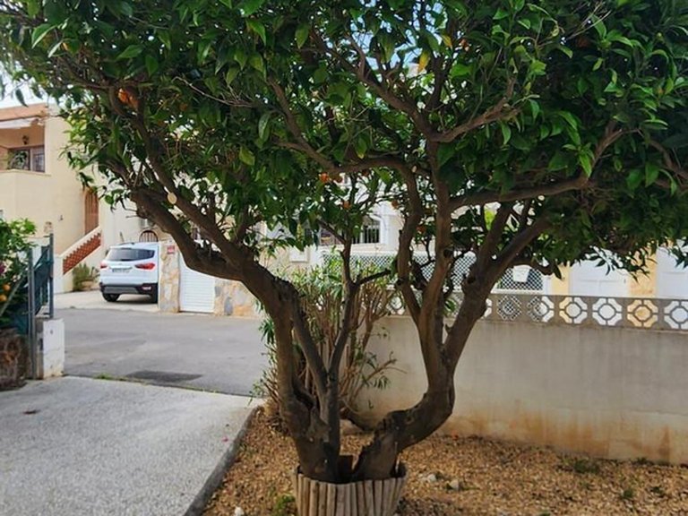 Town House for Sale in Alfaz Del Pi, Alicante 5
