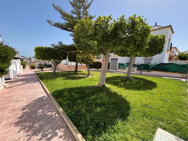 Apartment for Sale in Torrevieja, Alicante 5