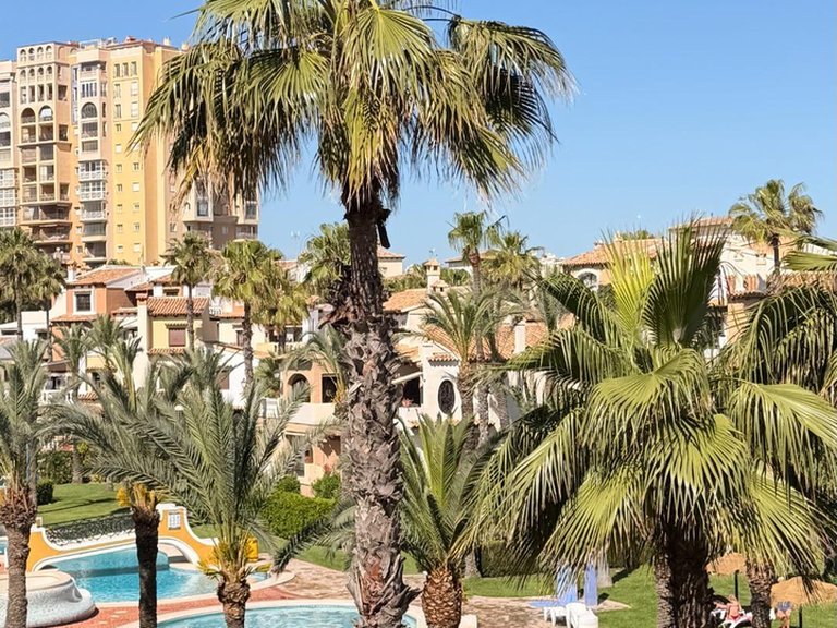 Apartment for Sale in Costa Blanca Torrevieja, Alicante 8