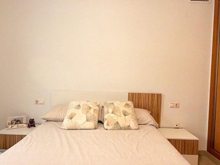 Apartment for Sale in Torrevieja, Alicante 13