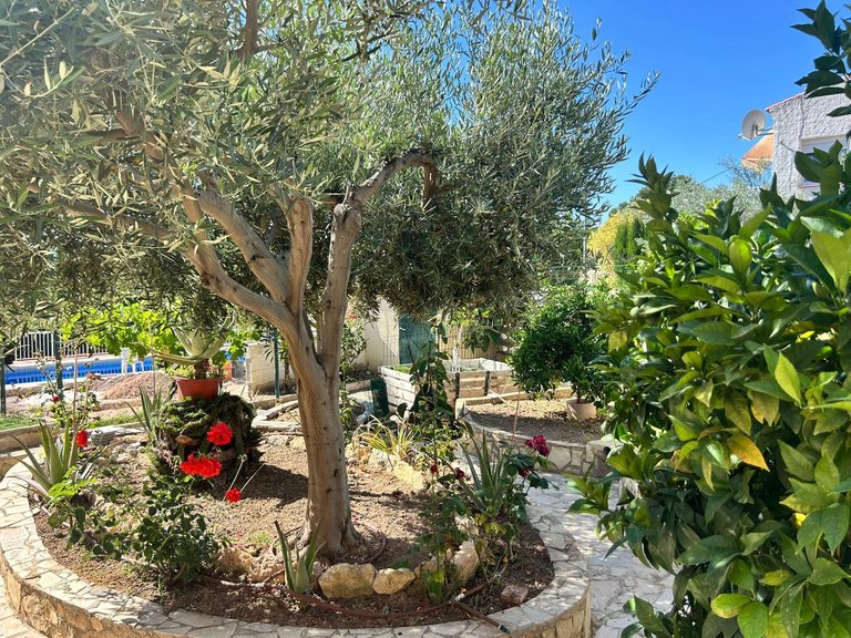 Villa for Sale in La Nucía, Alicante 8