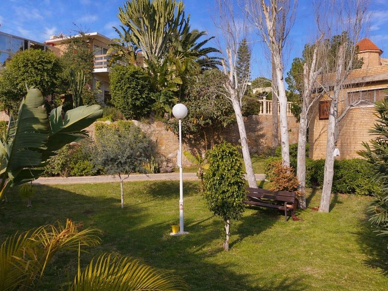 Apartment for Sale in San Juan Playa, Alicante 14