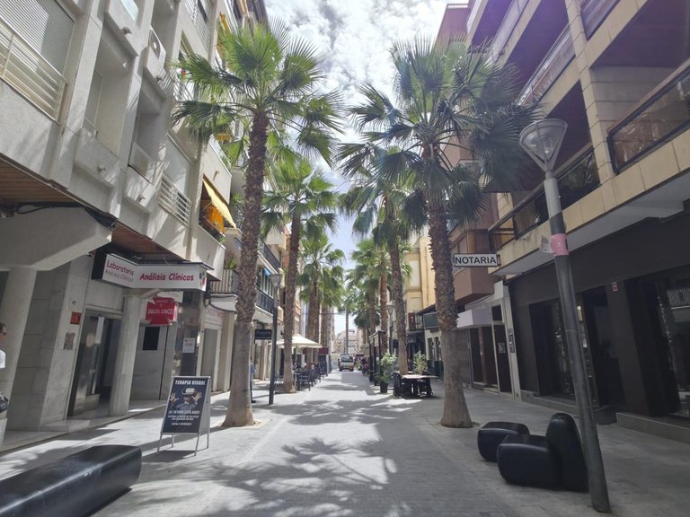 Apartment for Sale in Torrevieja, Alicante 2
