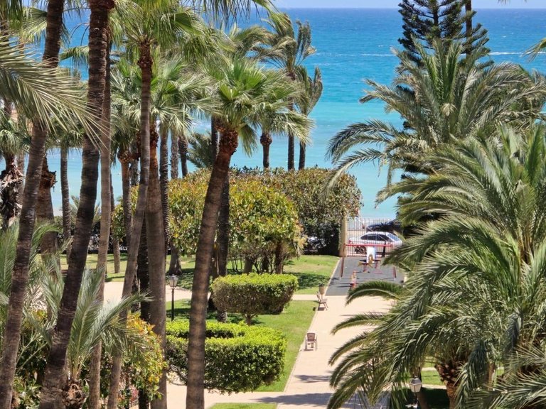 Apartment for Sale in Torrevieja, Alicante 14