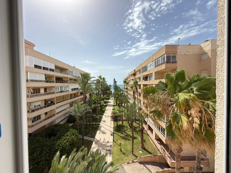 Apartment for Sale in Torrevieja, Alicante 21
