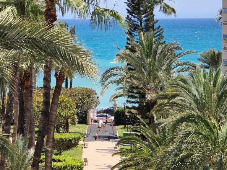 Apartment for Sale in Torrevieja, Alicante 4
