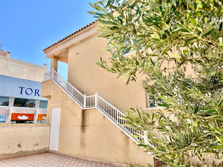 Villa for Sale in Torrevieja, Alicante 8