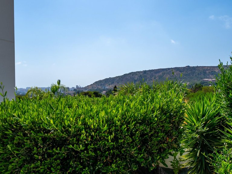 Villa for Sale in Alicante, Alicante 12