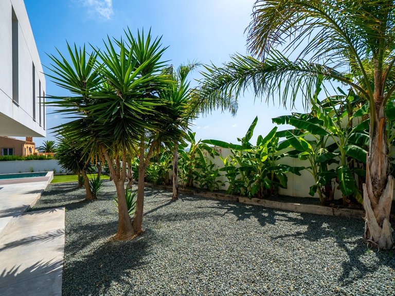 Villa for Sale in Alicante, Alicante 13