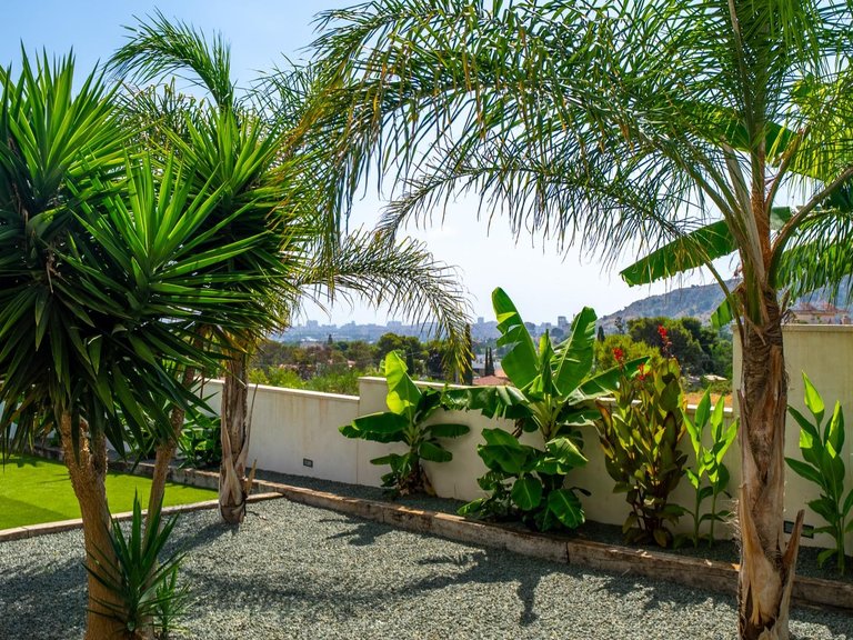 Villa for Sale in Alicante, Alicante 15