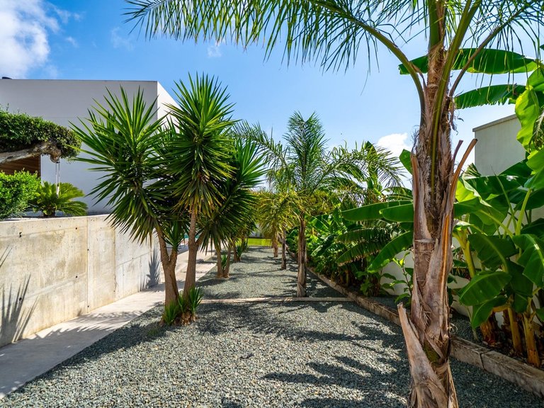 Villa for Sale in Alicante, Alicante 7