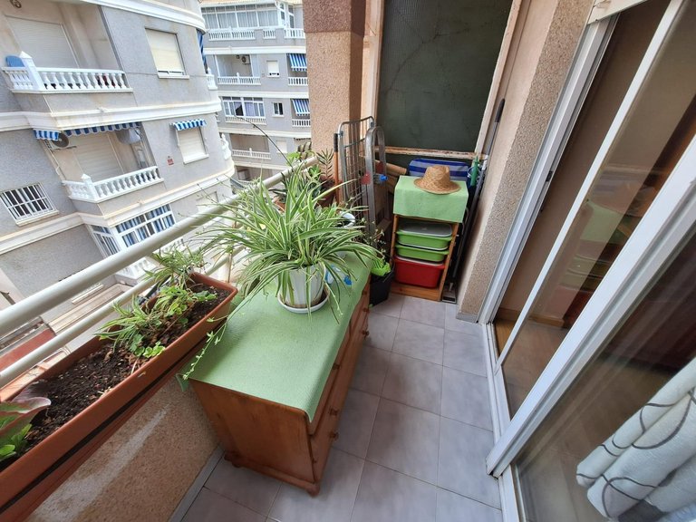 Apartment for Sale in Torrevieja, Alicante 6
