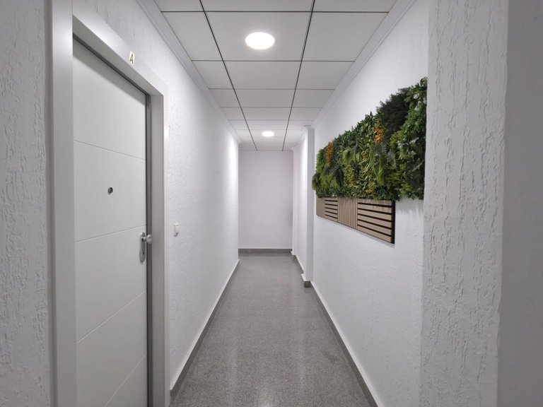 Apartment for Sale in Torrevieja, Alicante 4