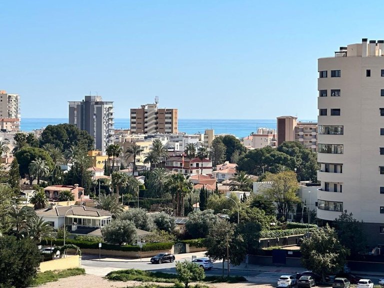 Apartment for Sale in Alicante, Alicante 7
