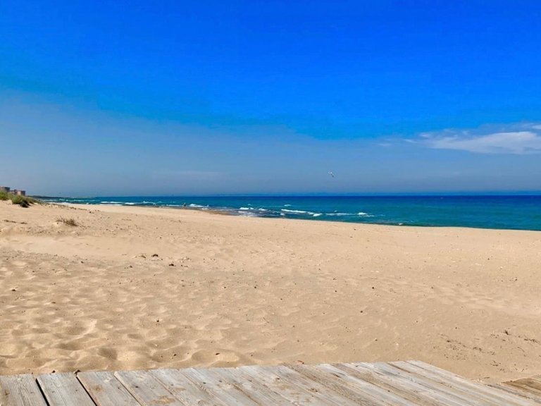 Apartment for Sale in Costa Blanca Torrevieja, Alicante 42
