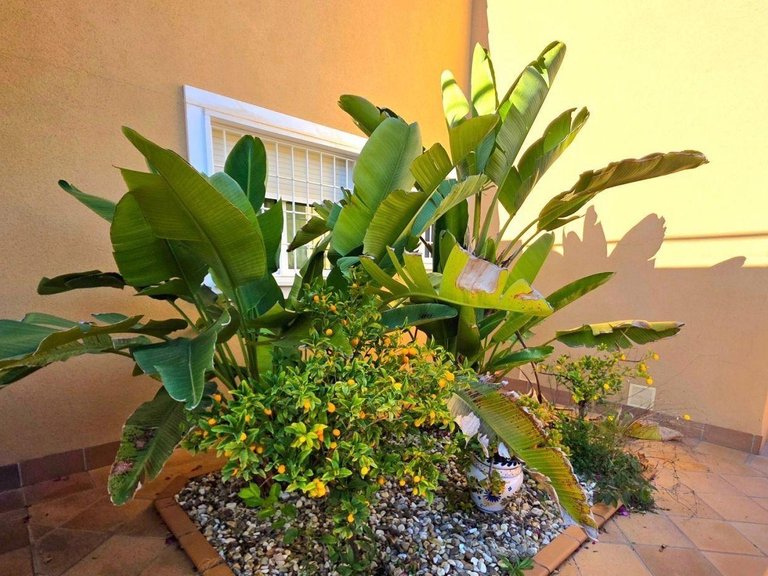 Villa for Sale in Campoamor, Alicante 23
